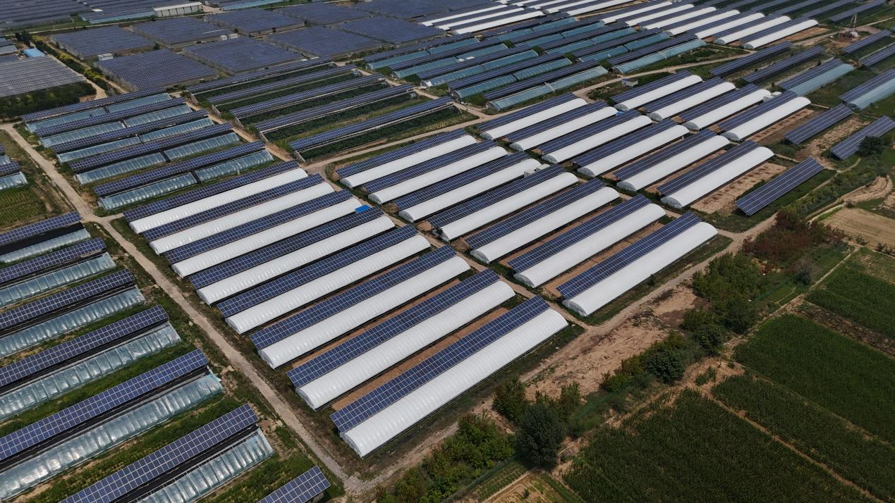 澄城養(yǎng)殖基地