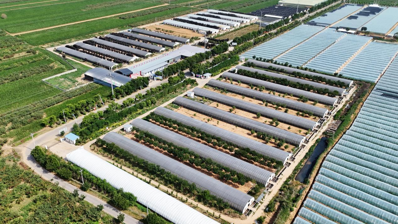 合陽養(yǎng)殖基地