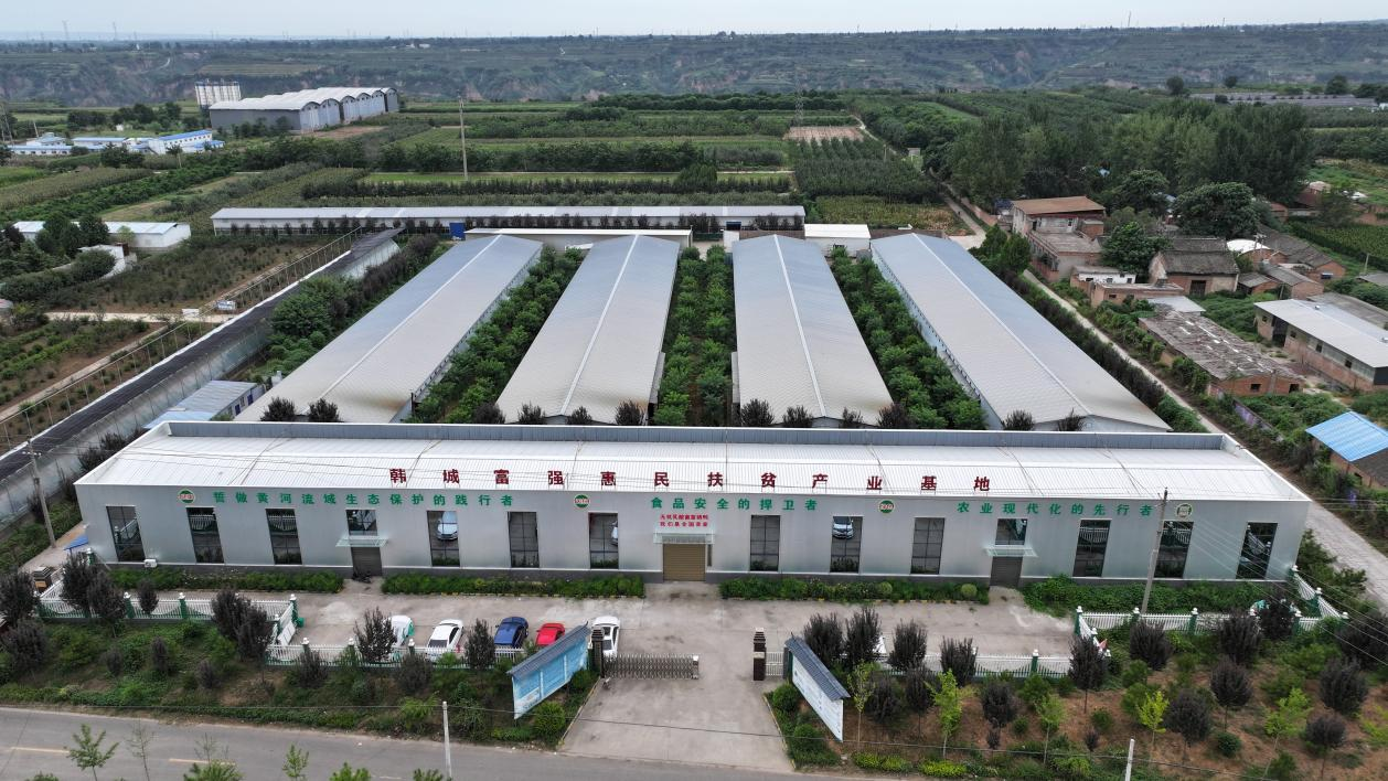 韓城富強(qiáng)惠民農(nóng)業(yè)科技有限公司